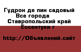 Гудрон де пин садовый - Все города  »    . Ставропольский край,Ессентуки г.